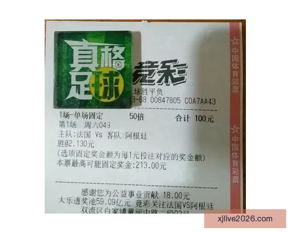 世界杯足球赛事胜负趋势深度解析与竞猜策略指南 世界杯足球赛事胜负趋势深度解析与竞猜策略指南